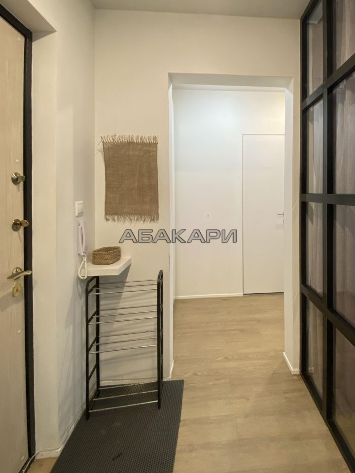 1-комнатная Светлогорский переулок, 2  за 40000 руб/мес фото 5