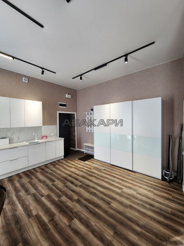 студия улица Петра Подзолкова, 12  за 40000 руб/мес фото 3