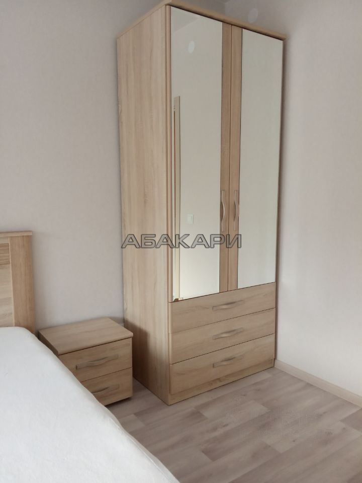 2-комнатная Регатная улица, 2  за 45000 руб/мес фото 4