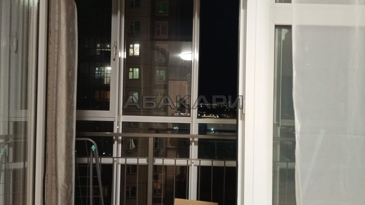 1-комнатная улица Петра Подзолкова, 5Б  за 30000 руб/мес фото 15