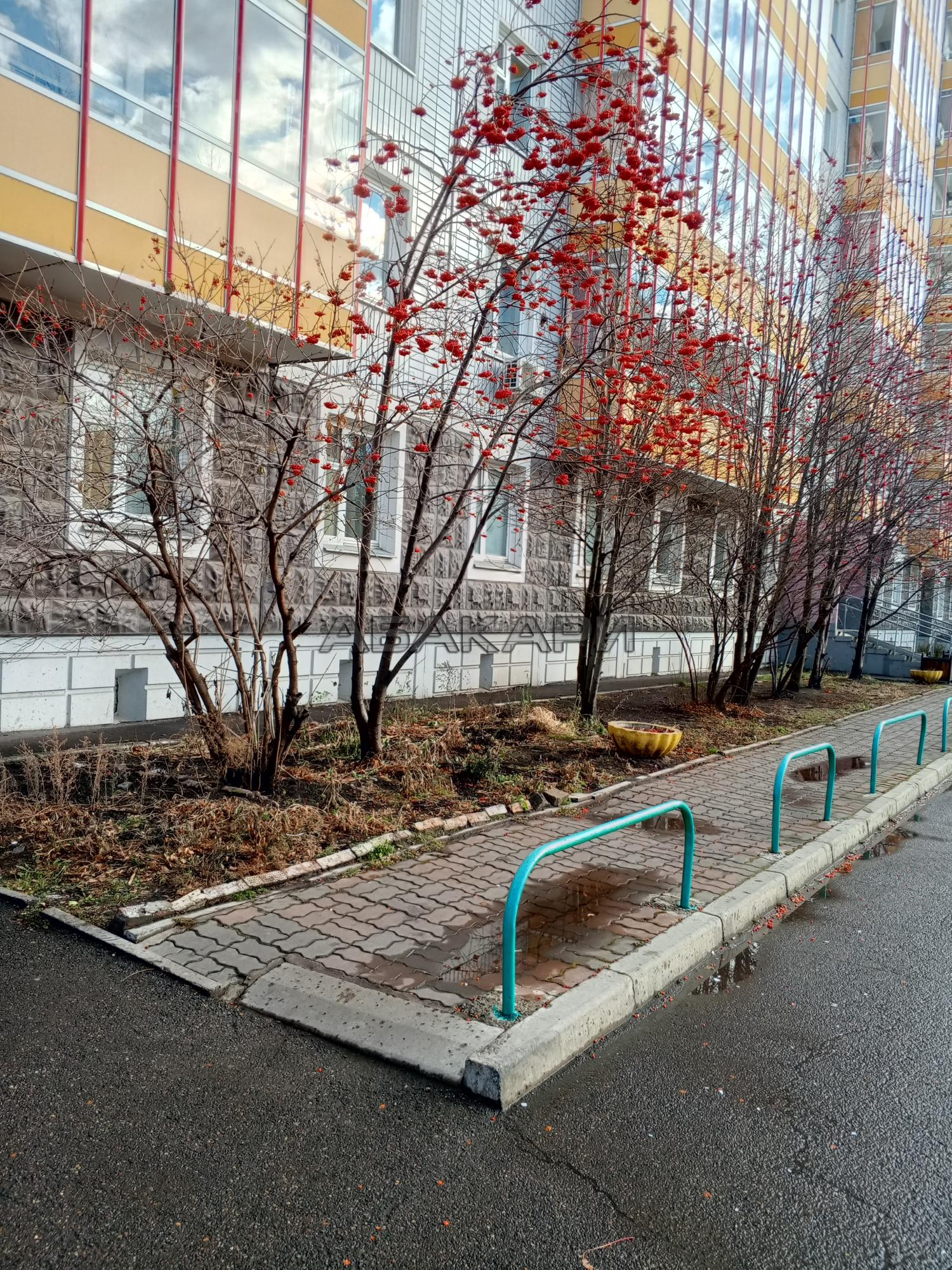 1-комнатная улица Щербакова, 23А  за 30000 руб/мес фото 18