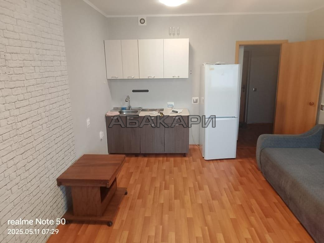 студия Соколовская улица, 80А за 18000 руб/мес фото 1 студия Соколовская улица, 80А за 18000 руб/мес фото 1