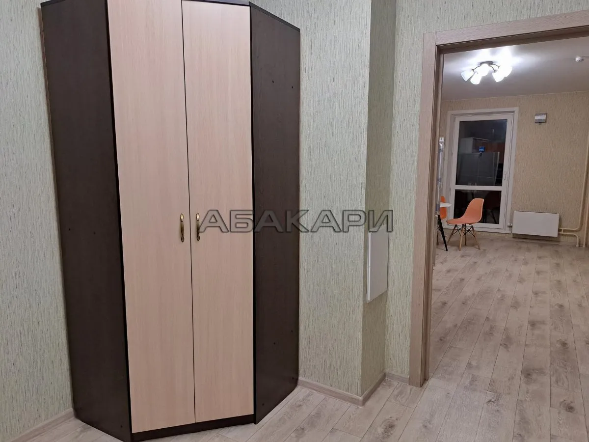 1-комнатная Аральская улица, 51 за 28000 руб/мес фото 7 1-комнатная Аральская улица, 51 за 28000 руб/мес фото 7