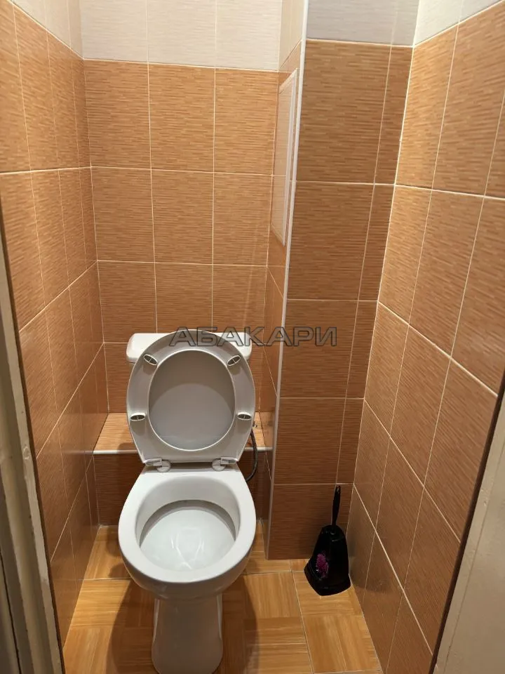 1-комнатная улица Копылова, 76А  за 30000 руб/мес фото 4