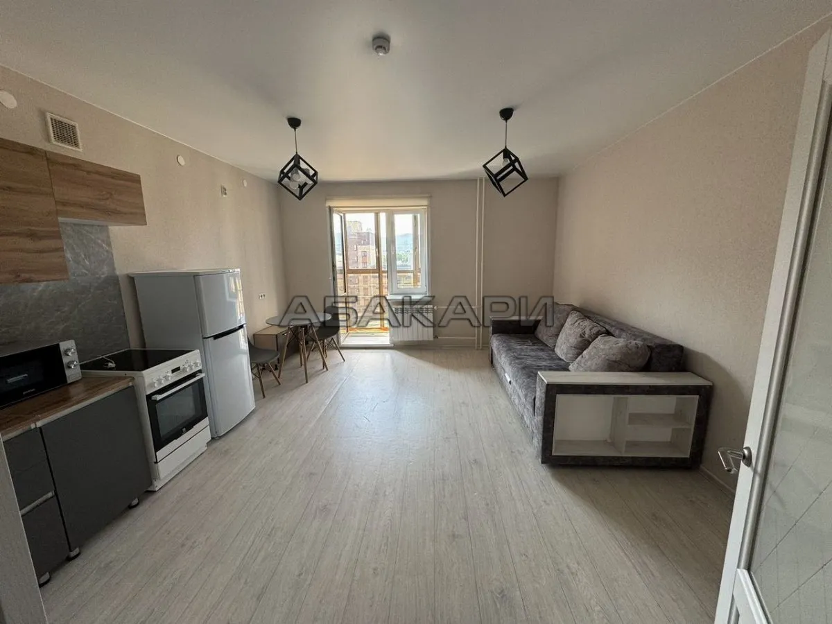 1-комнатная Регатная улица, 4  за 40000 руб/мес фото 4