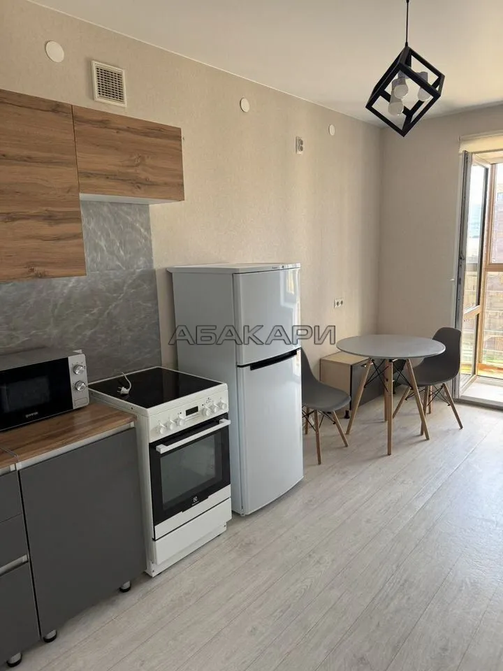 1-комнатная Регатная улица, 4  за 40000 руб/мес фото 1