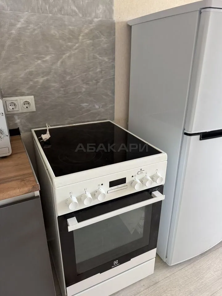 1-комнатная Регатная улица, 4  за 40000 руб/мес фото 3