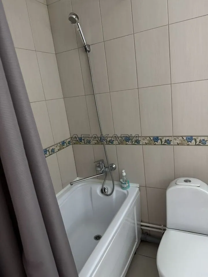 1-комнатная Регатная улица, 4  за 40000 руб/мес фото 10