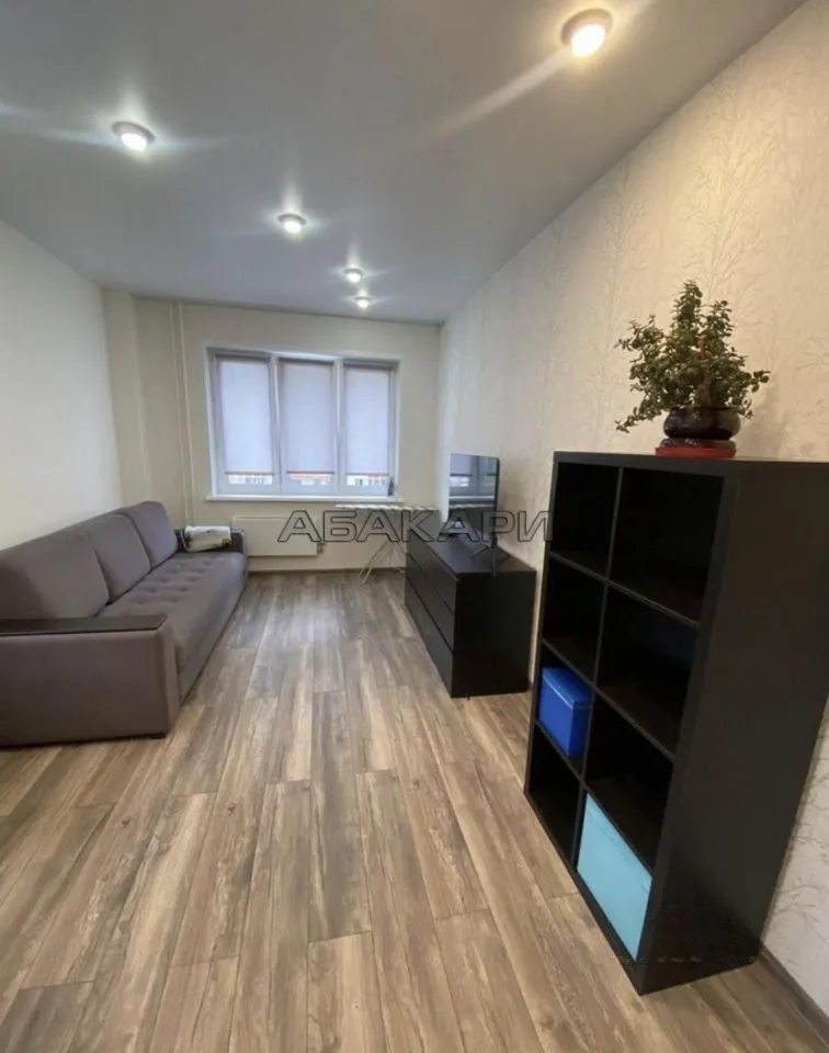 2-комнатная улица Вильского, 38  за 45000 руб/мес фото 5