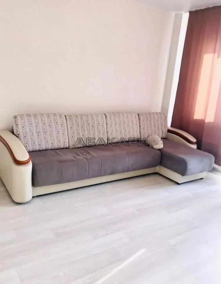 1-комнатная улица Петра Подзолкова, 3И за 32000 руб/мес фото 4 1-комнатная улица Петра Подзолкова, 3И за 32000 руб/мес фото 4