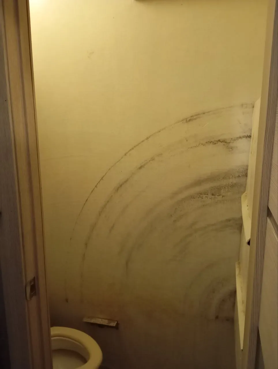 студия улица Гастелло, 27  за 17000 руб/мес фото 13