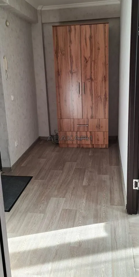 студия Караульная улица, 38  за 30000 руб/мес фото 14