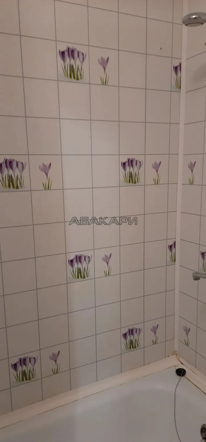 студия Апрельская улица, 5А за 18000 руб/мес фото 4 студия Апрельская улица, 5А за 18000 руб/мес фото 4