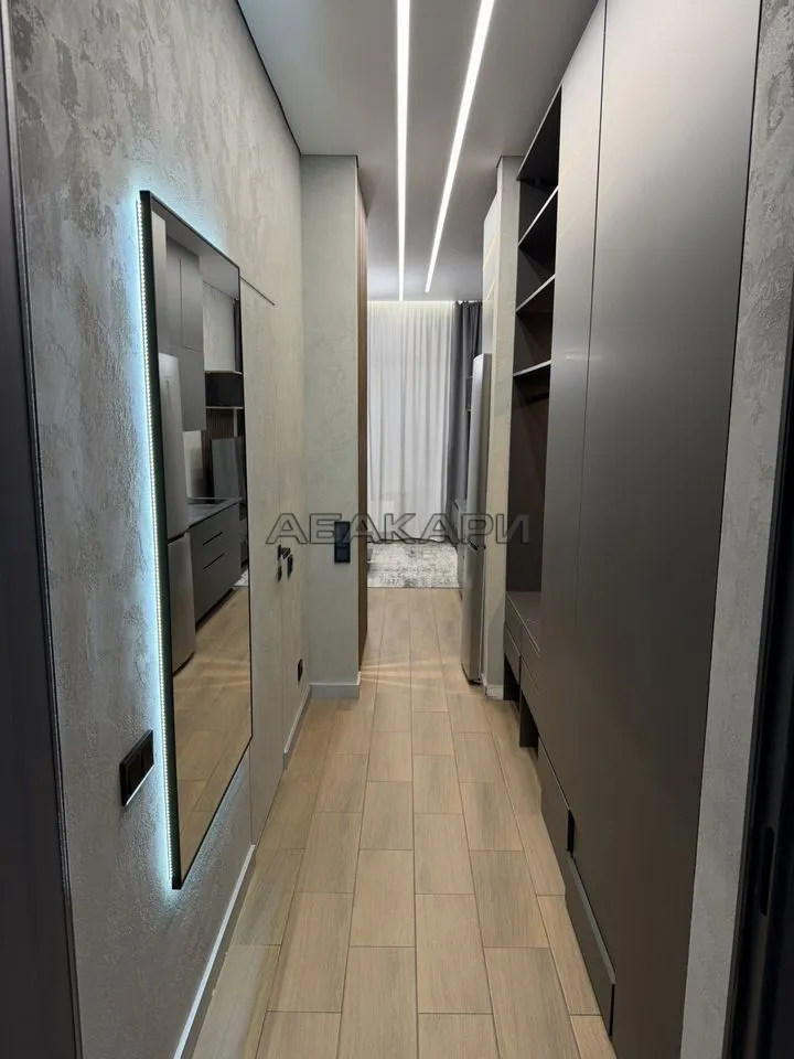 студия Октябрьская улица, 16  за 45000 руб/мес фото 1