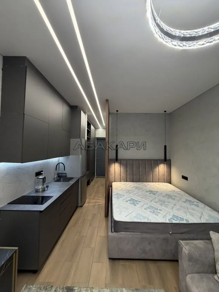 студия Октябрьская улица, 16  за 45000 руб/мес фото 7