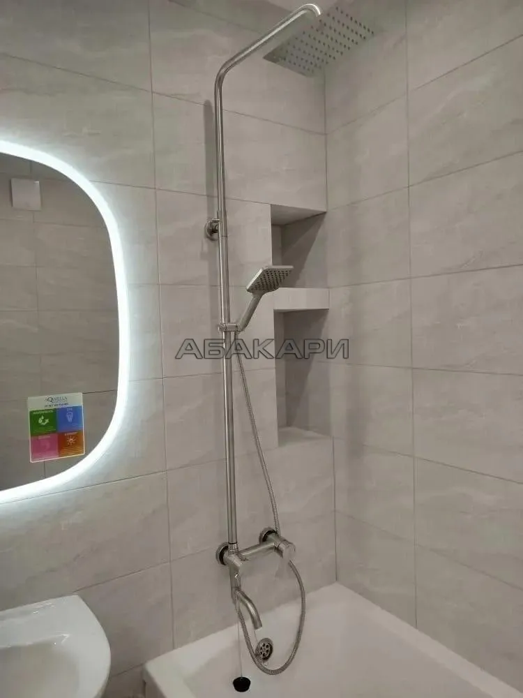 студия Соколовская улица, 64  за 18000 руб/мес фото 10