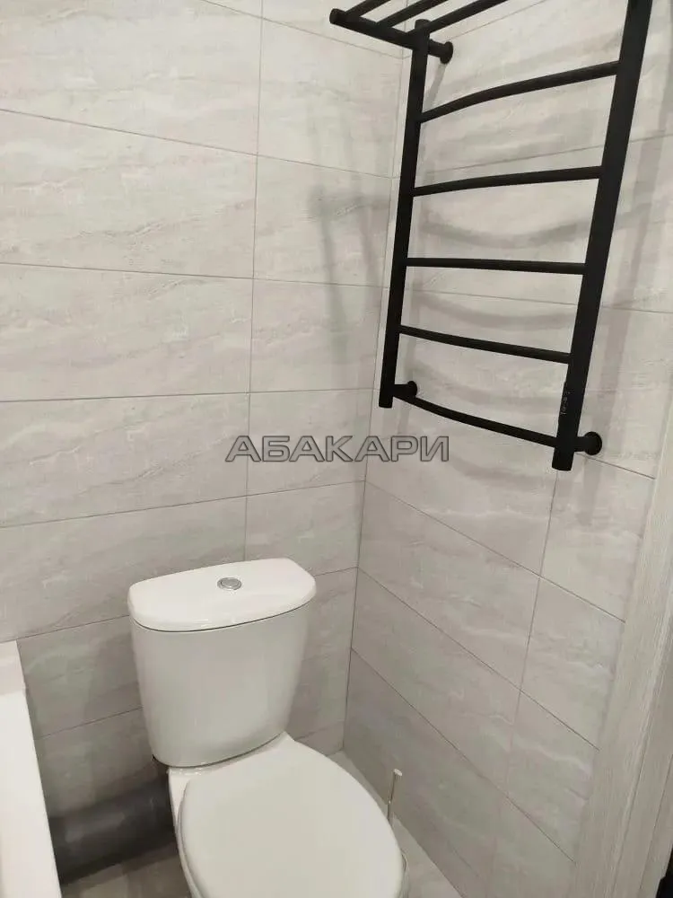 студия Соколовская улица, 64  за 18000 руб/мес фото 11