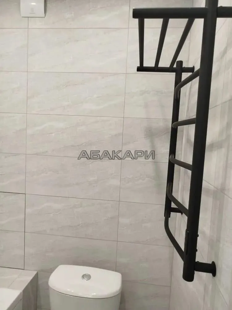 студия Соколовская улица, 64  за 18000 руб/мес фото 12