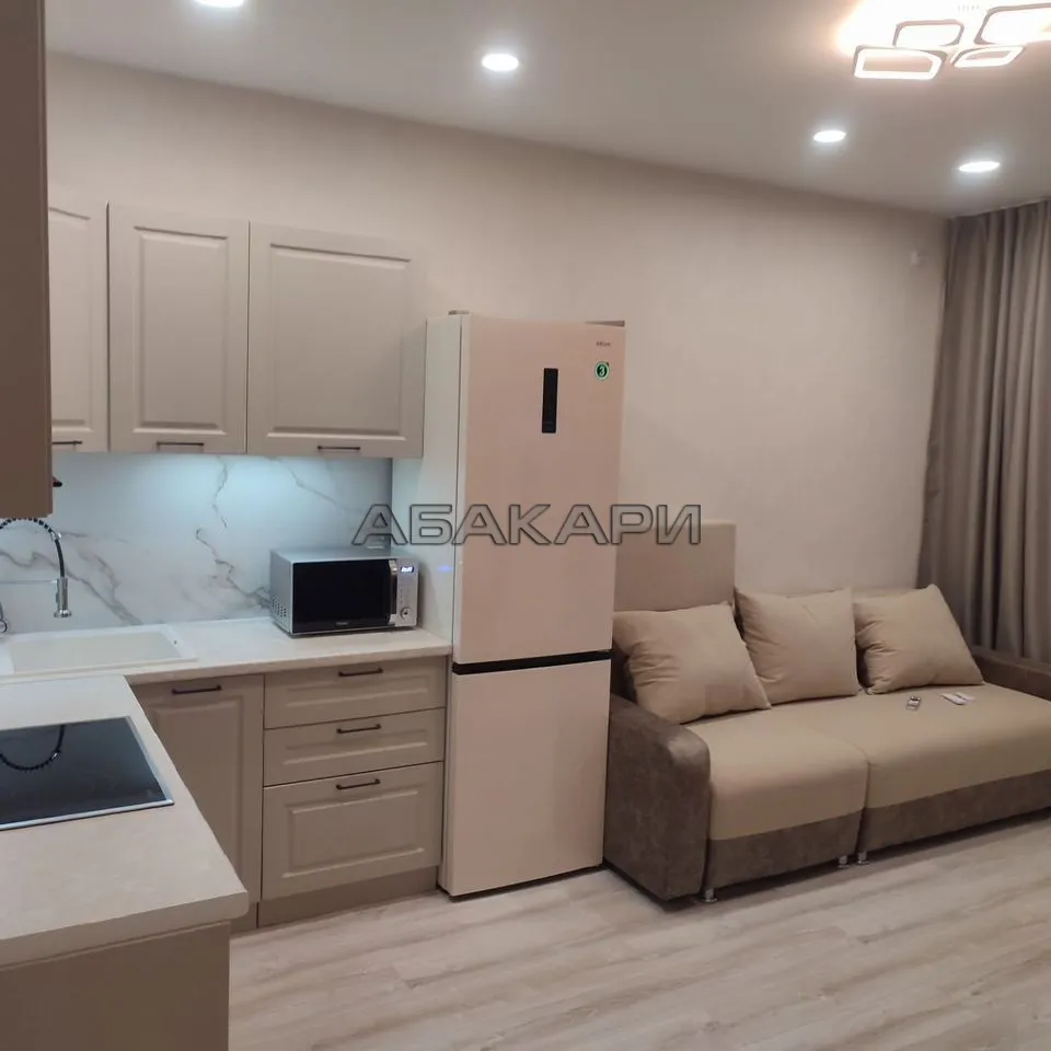 1-комнатная Светлогорский переулок, 14 за 50000 руб/мес фото 1 1-комнатная Светлогорский переулок, 14 за 50000 руб/мес фото 1