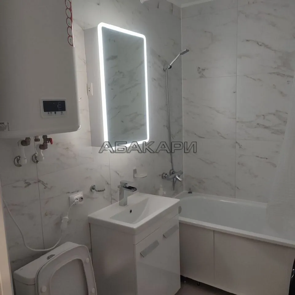 1-комнатная Светлогорский переулок, 14 за 50000 руб/мес фото 13 1-комнатная Светлогорский переулок, 14 за 50000 руб/мес фото 13