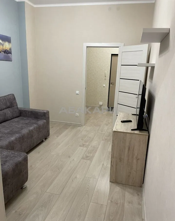 1-комнатная улица Партизана Железняка, 19В  за 43000 руб/мес фото 3