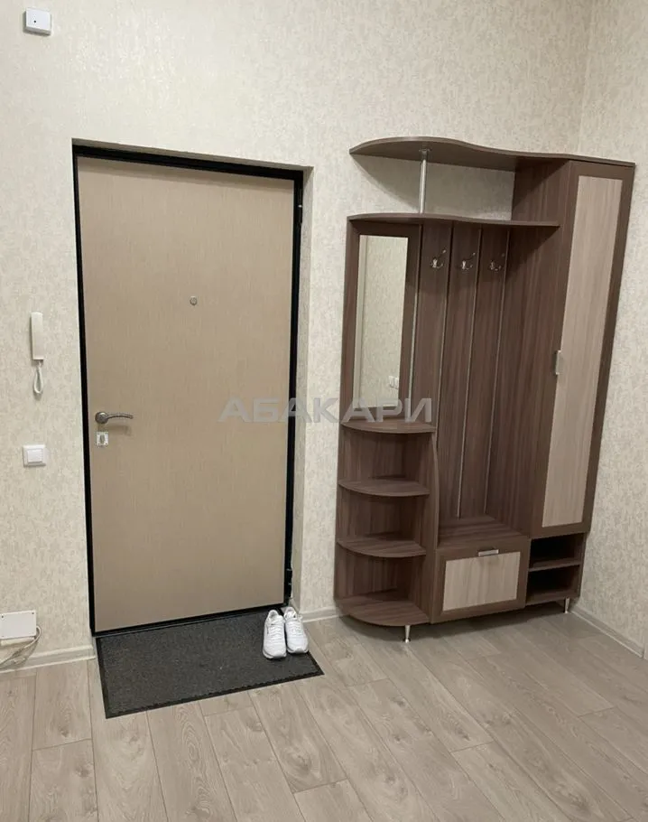 1-комнатная улица Партизана Железняка, 19В  за 43000 руб/мес фото 10