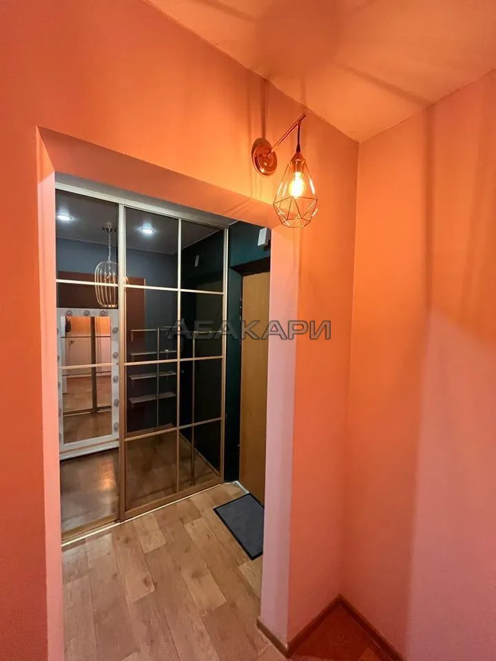 1-комнатная улица Чернышевского, 118А  за 30000 руб/мес фото 9