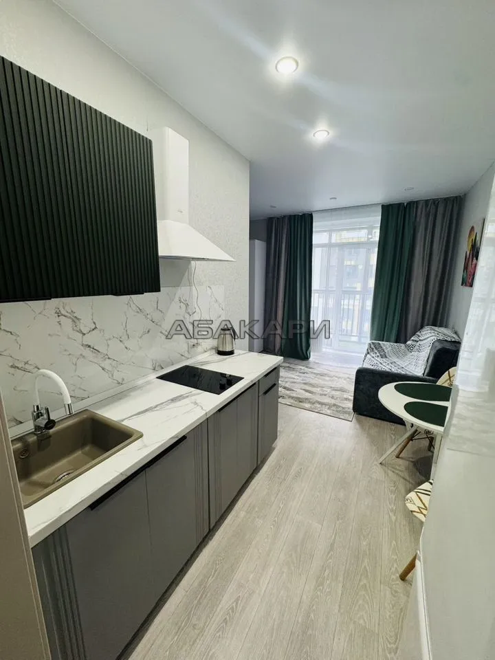 студия Свободный проспект, 66Рк4  за 37000 руб/мес фото 5