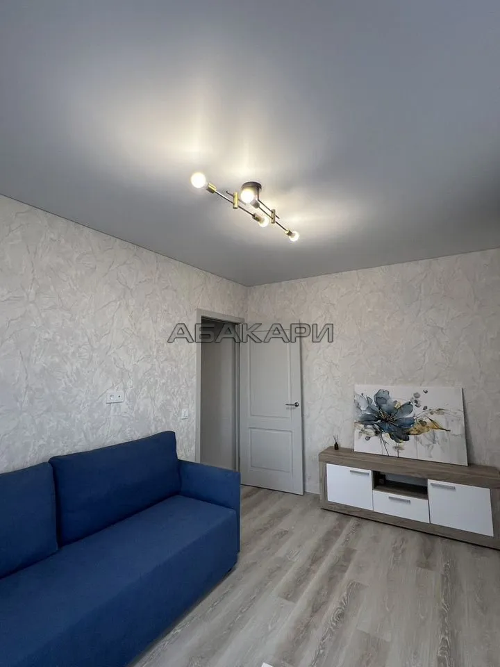 2-комнатная Дудинская улица, 2Е за 60000 руб/мес фото 1 2-комнатная Дудинская улица, 2Е за 60000 руб/мес фото 1