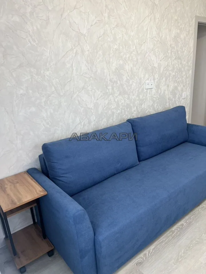 2-комнатная Дудинская улица, 2Е за 60000 руб/мес фото 6 2-комнатная Дудинская улица, 2Е за 60000 руб/мес фото 6