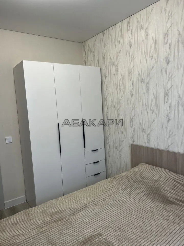 2-комнатная Дудинская улица, 2Е за 60000 руб/мес фото 11 2-комнатная Дудинская улица, 2Е за 60000 руб/мес фото 11