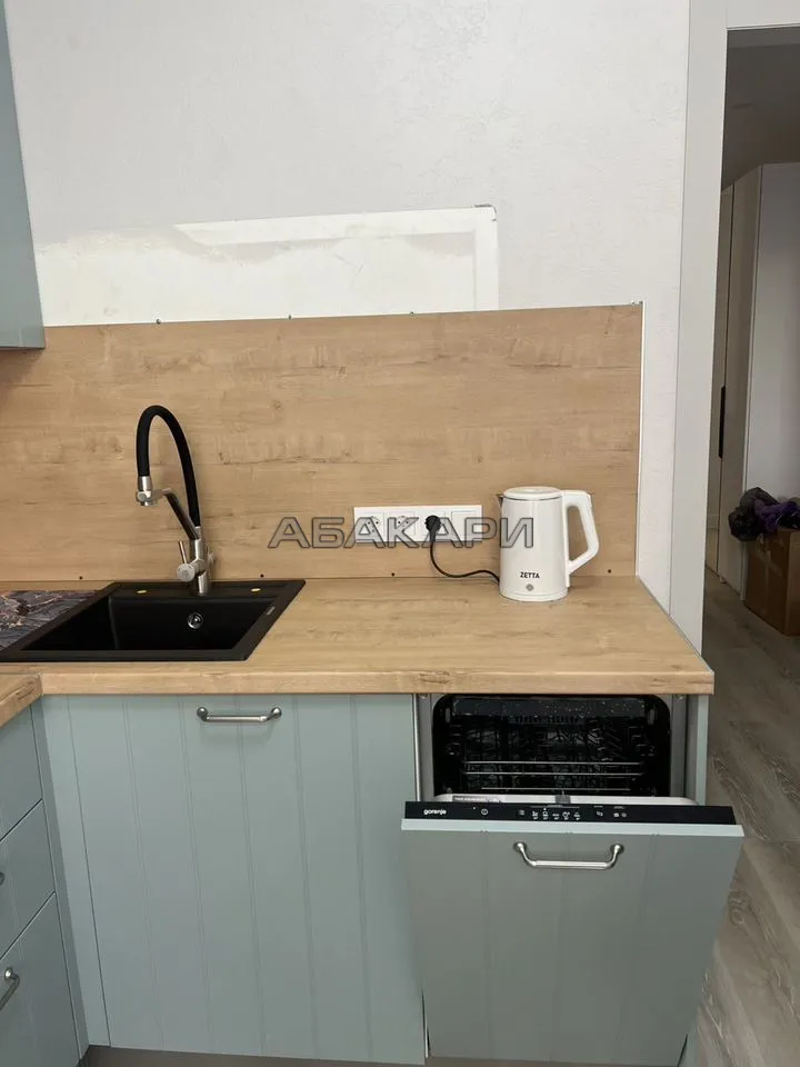 2-комнатная Дудинская улица, 2Е за 60000 руб/мес фото 12 2-комнатная Дудинская улица, 2Е за 60000 руб/мес фото 12