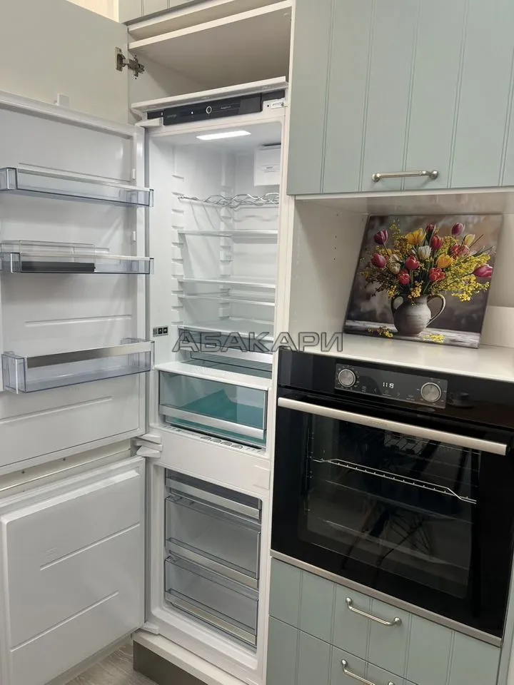 2-комнатная Дудинская улица, 2Е за 60000 руб/мес фото 13 2-комнатная Дудинская улица, 2Е за 60000 руб/мес фото 13