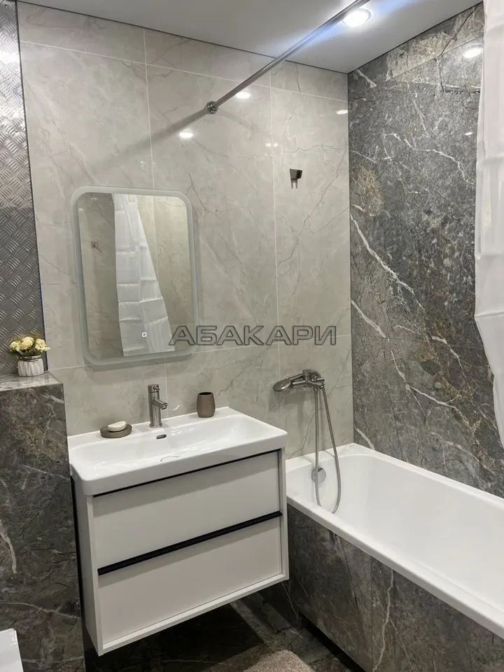 2-комнатная Дудинская улица, 2Е за 60000 руб/мес фото 15 2-комнатная Дудинская улица, 2Е за 60000 руб/мес фото 15