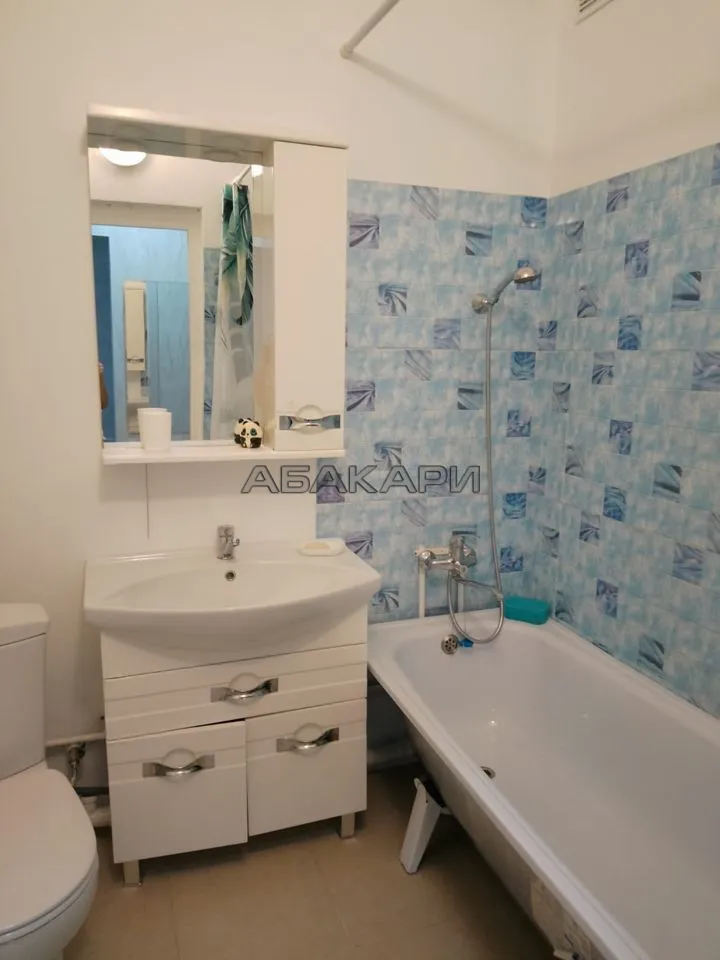 1-комнатная Ярыгинская набережная, 5  за 35000 руб/мес фото 25