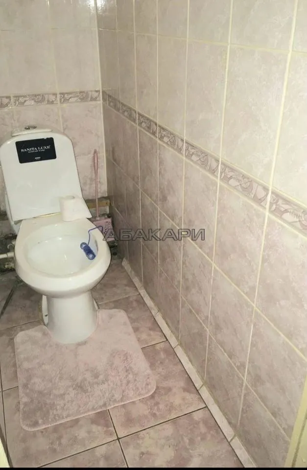 1-комнатная Судостроительная улица, 117  за 28000 руб/мес фото 5