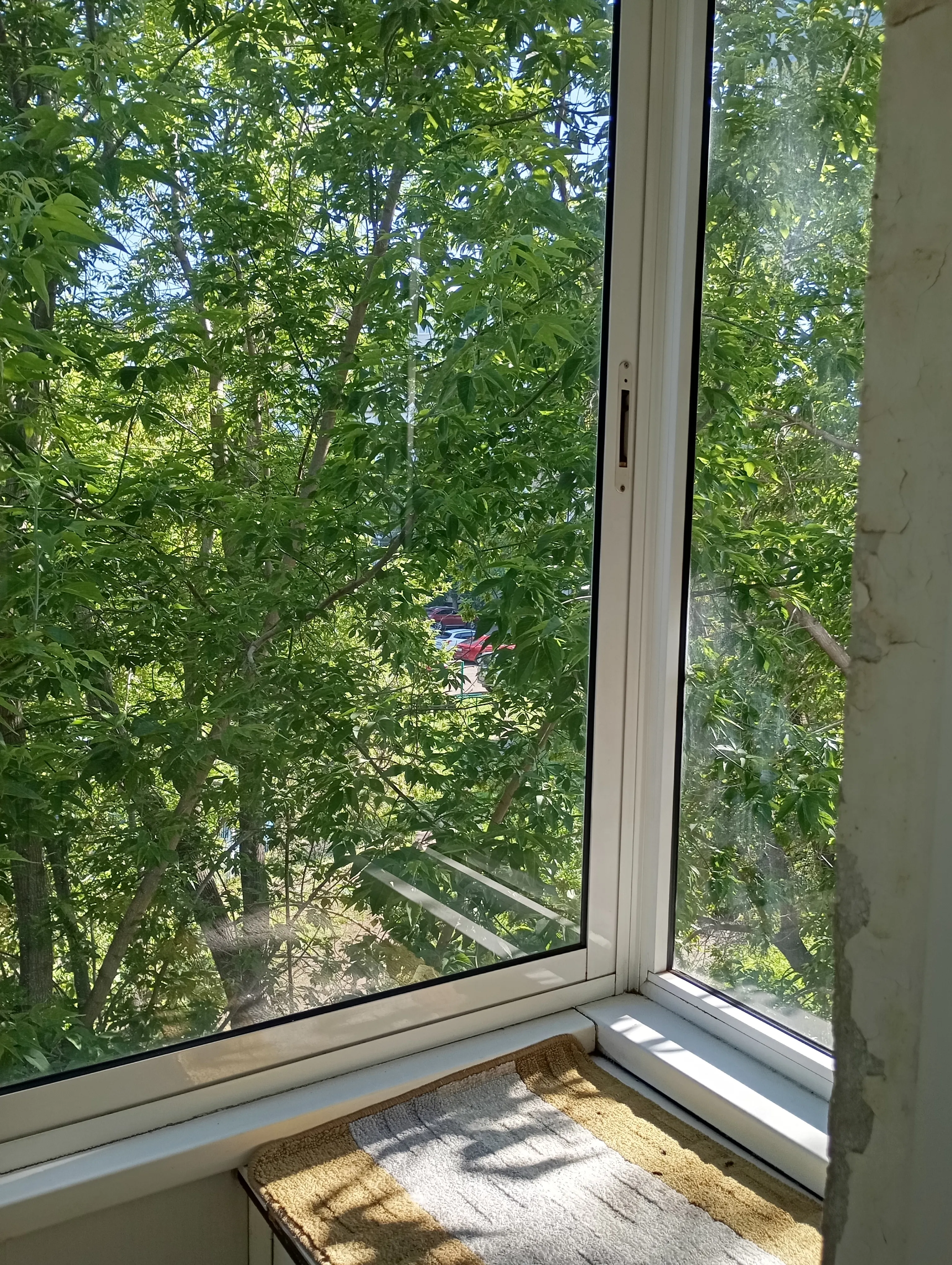 1-комнатная улица Гусарова, 53  за 23000 руб/мес фото 31
