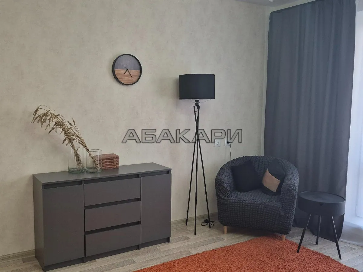 1-комнатная Вербная улица, 3  за 45000 руб/мес фото 4