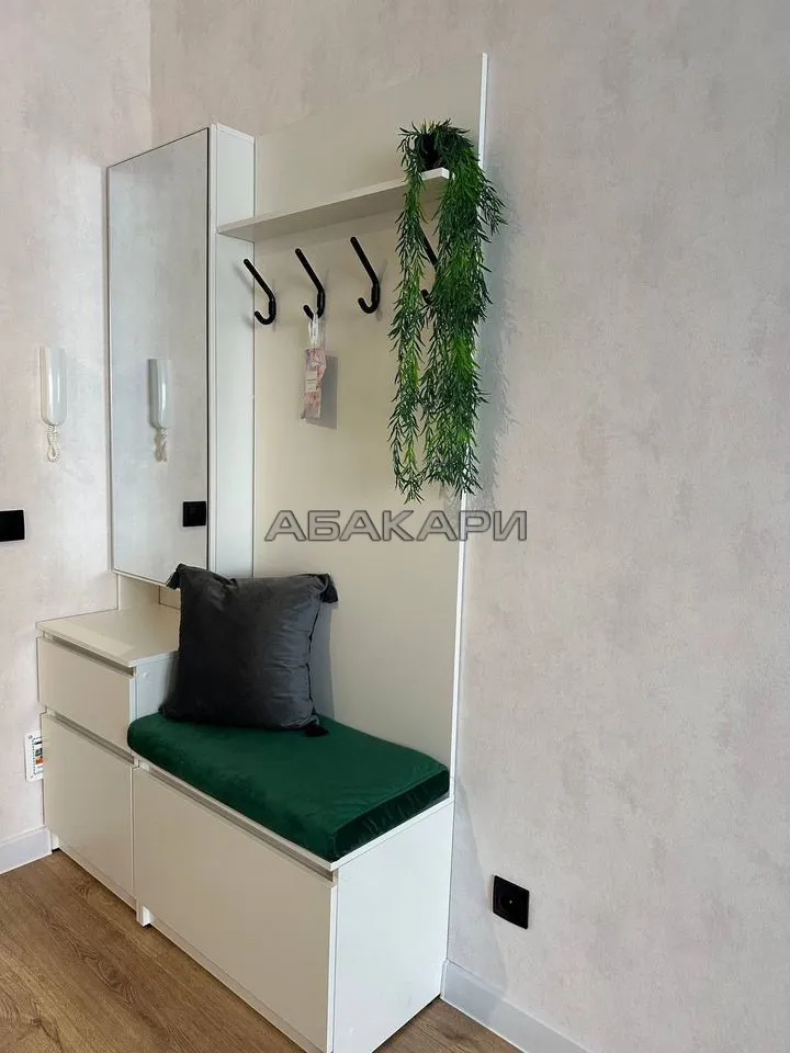 студия Линейная улица, 116  за 35000 руб/мес фото 9