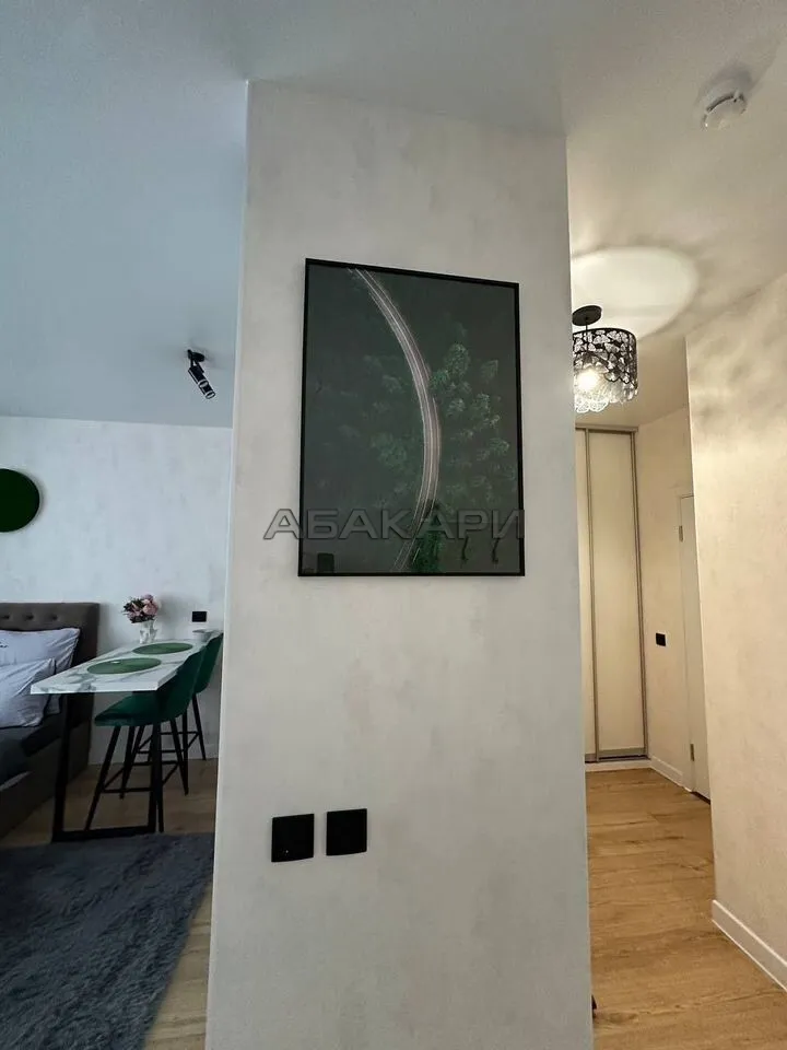 студия Линейная улица, 116  за 35000 руб/мес фото 10