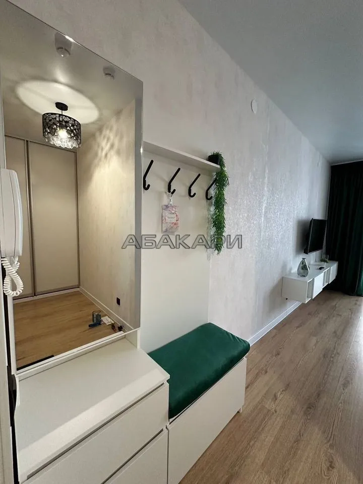 студия Линейная улица, 116  за 35000 руб/мес фото 12