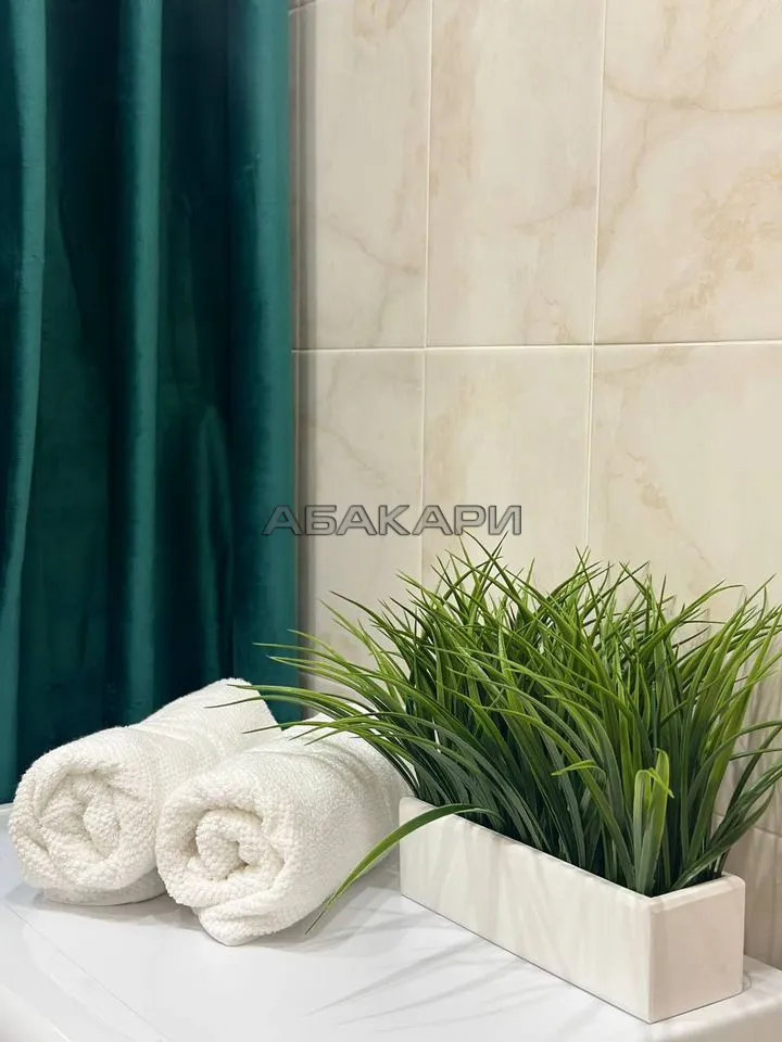 студия Линейная улица, 116  за 35000 руб/мес фото 24