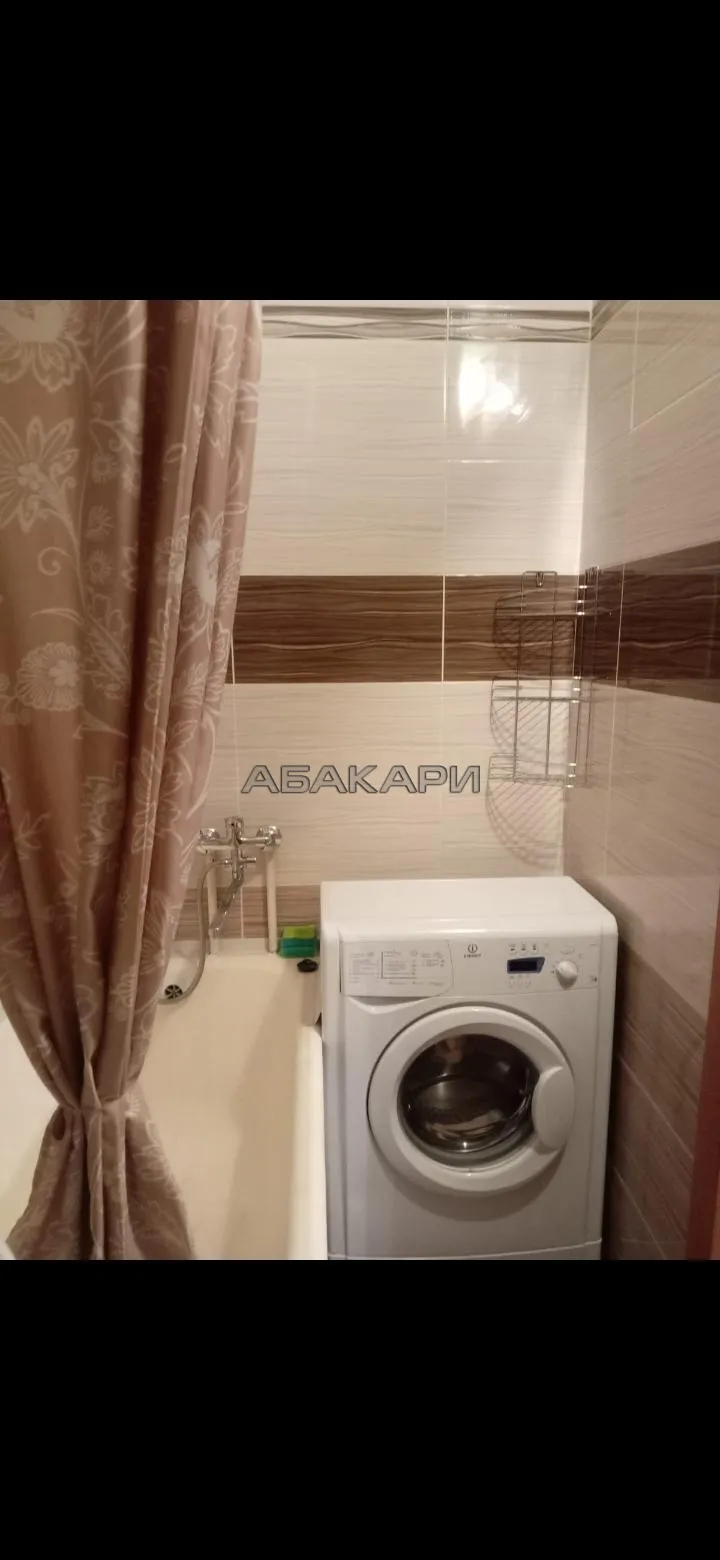 1-комнатная Светлогорская улица, 7  за 30000 руб/мес фото 5