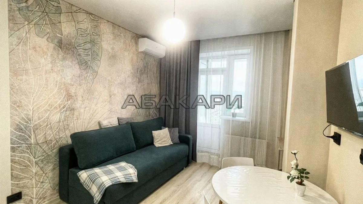 студия Караульная улица, 39  за 35000 руб/мес фото 5