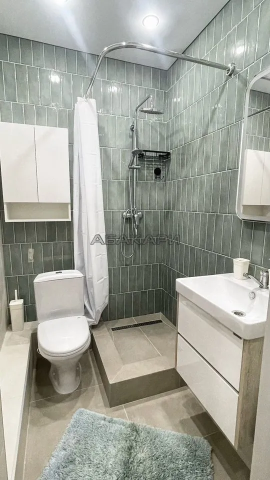 студия Караульная улица, 39  за 35000 руб/мес фото 12