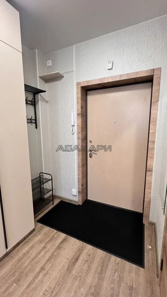 студия Светлогорский переулок, 14  за 35000 руб/мес фото 9