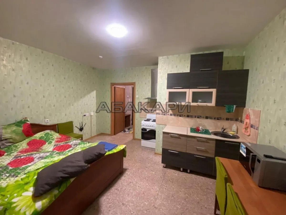 студия улица Петра Подзолкова, 5А  за 29000 руб/мес фото 5