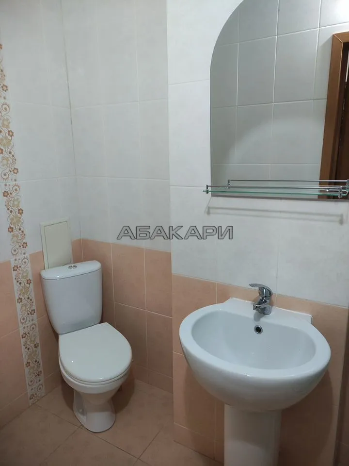 1-комнатная Светлогорская улица, 11А  за 30000 руб/мес фото 5