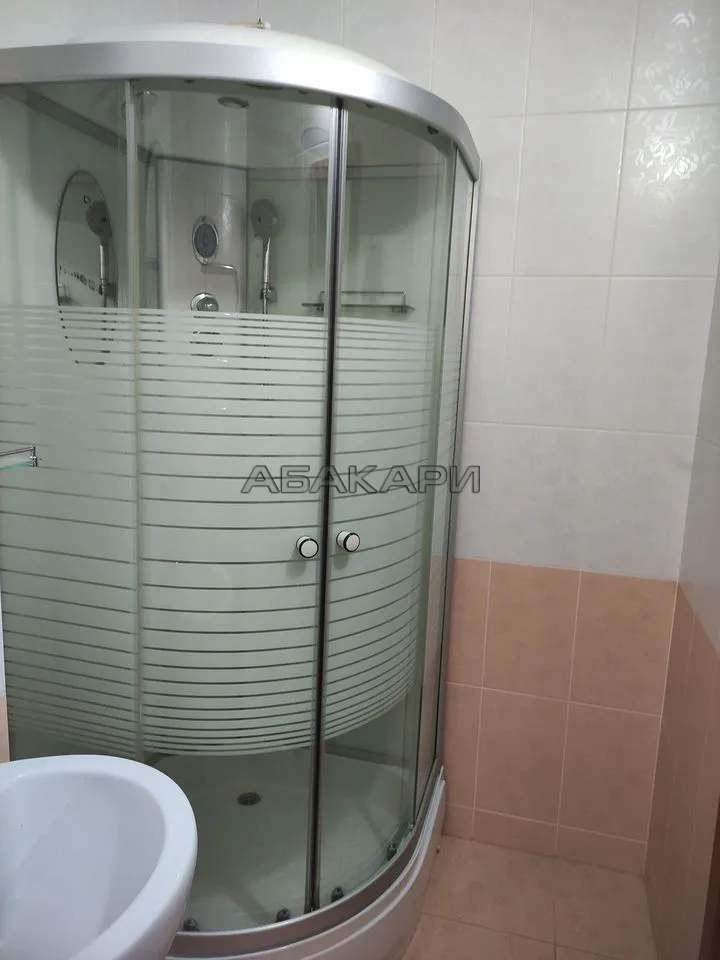 1-комнатная Светлогорская улица, 11А  за 30000 руб/мес фото 6