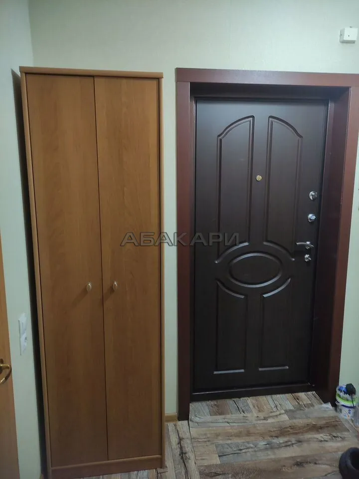 1-комнатная Светлогорская улица, 11А  за 30000 руб/мес фото 7